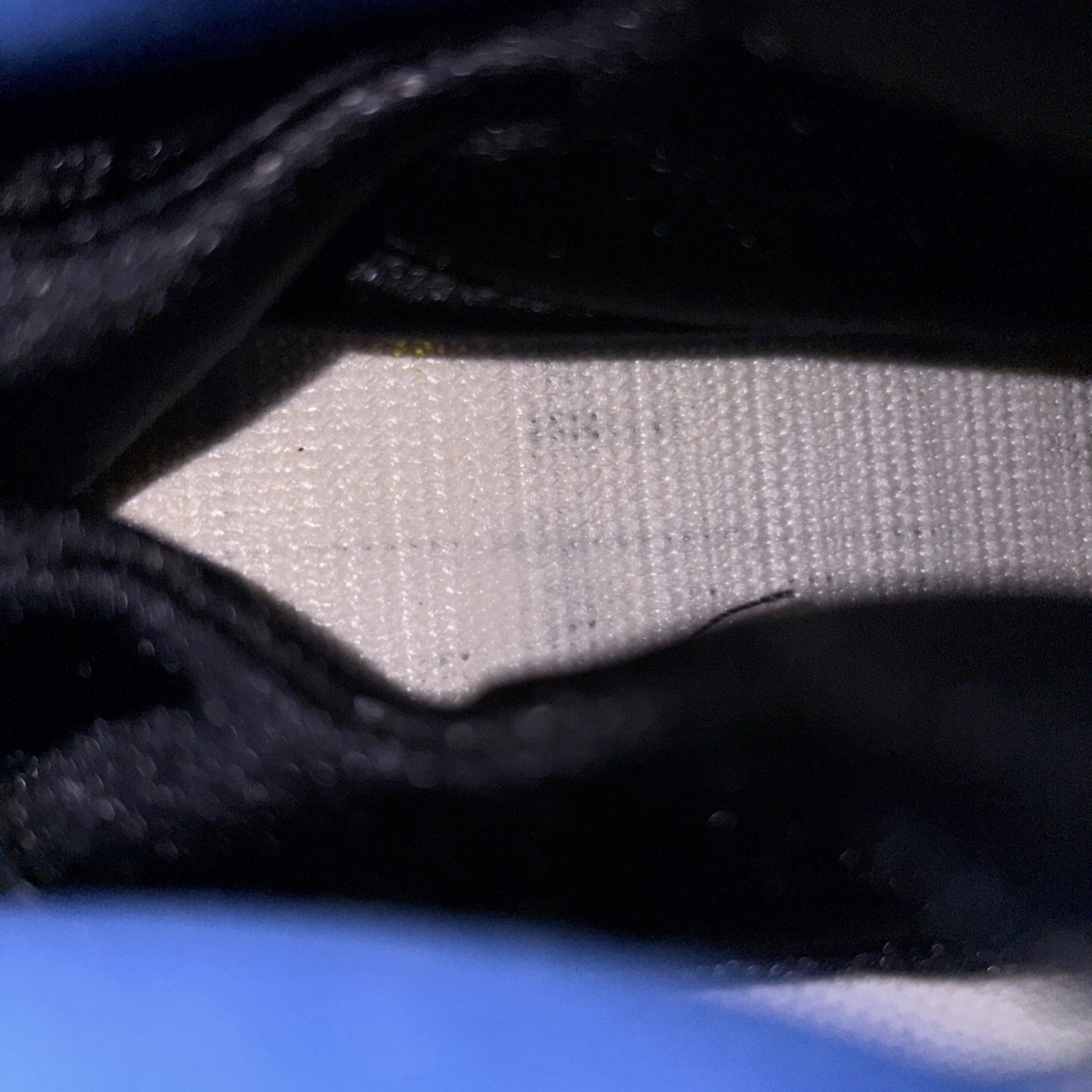 Size 9 – Nike Air Griffey Max 1 2021 Varsity Royal