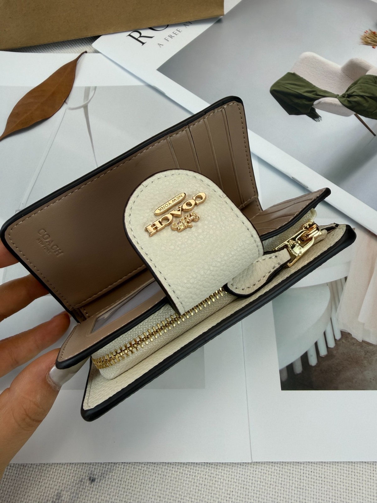 Medium Corner Zip Wallet With Sketch Print In Gold/Chalk CAO94 SHIP FROM US