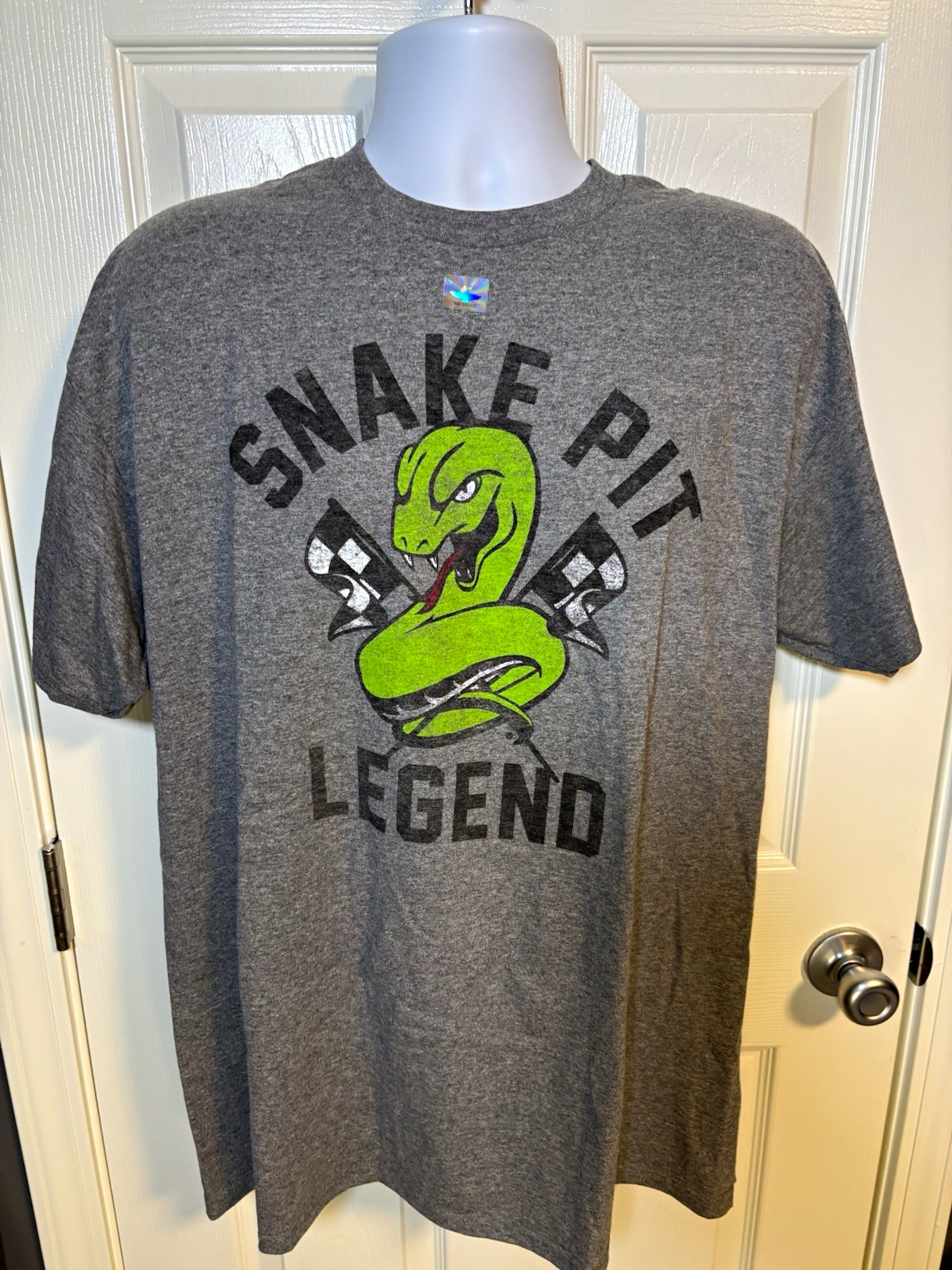 Gildan Heavy Cotton Gray Snake Pit Legend Graphic Crew Neck T-Shirt XL