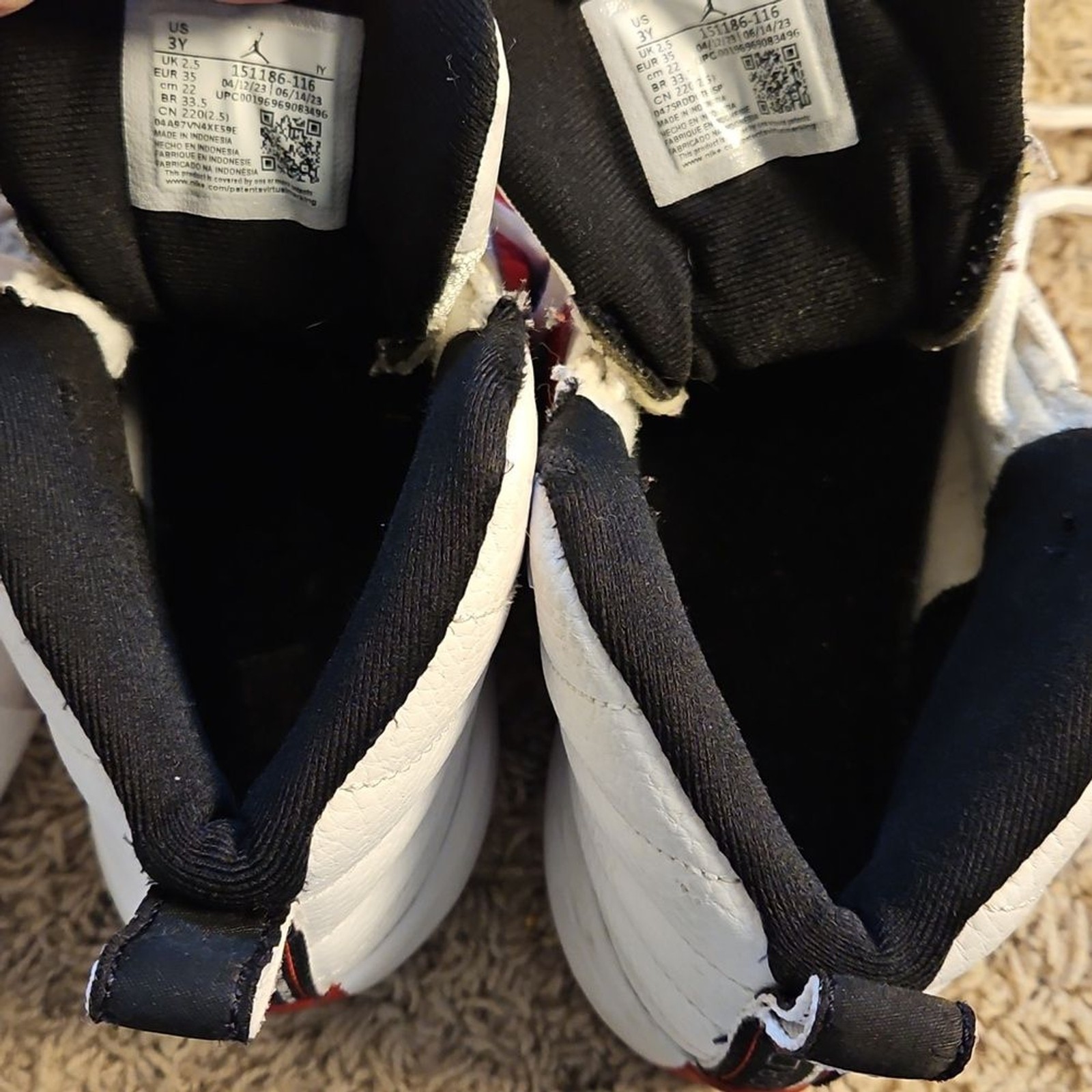 RETRO Nike Air Jordan XII – Cherry Red 2009 Boys 3