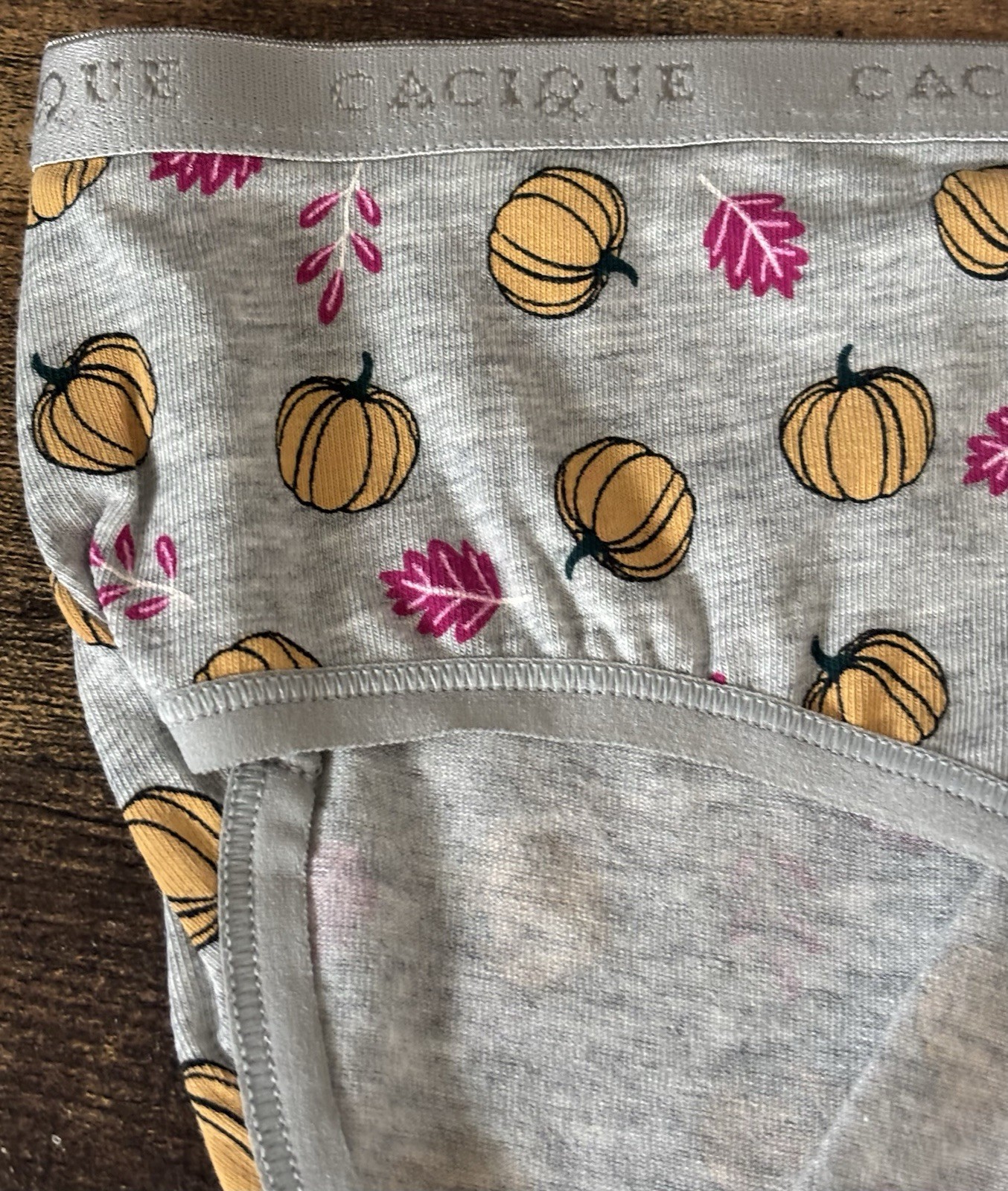 Plus Size 14/16 Lane Bryant Cacique Hipster Cotton Panty Fall Leaves Pumpkin