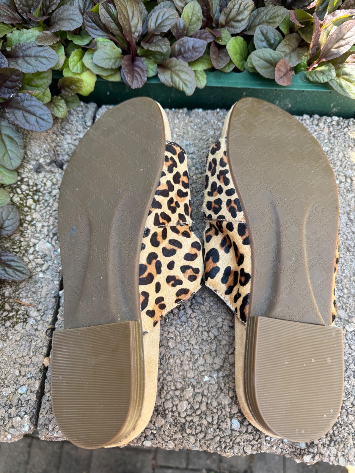 Vionic Calf Hair Leopard Sandals – Pre-Owned