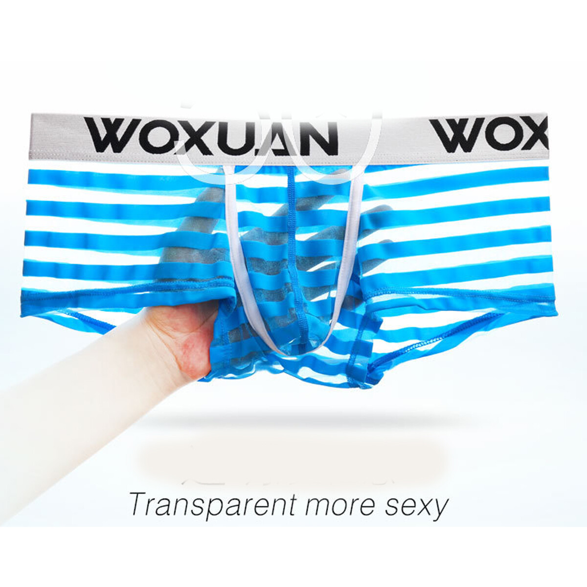 Men’s Sexy Underwear Transparent Underpants Boxers Mesh Shorts Pouch Briefs