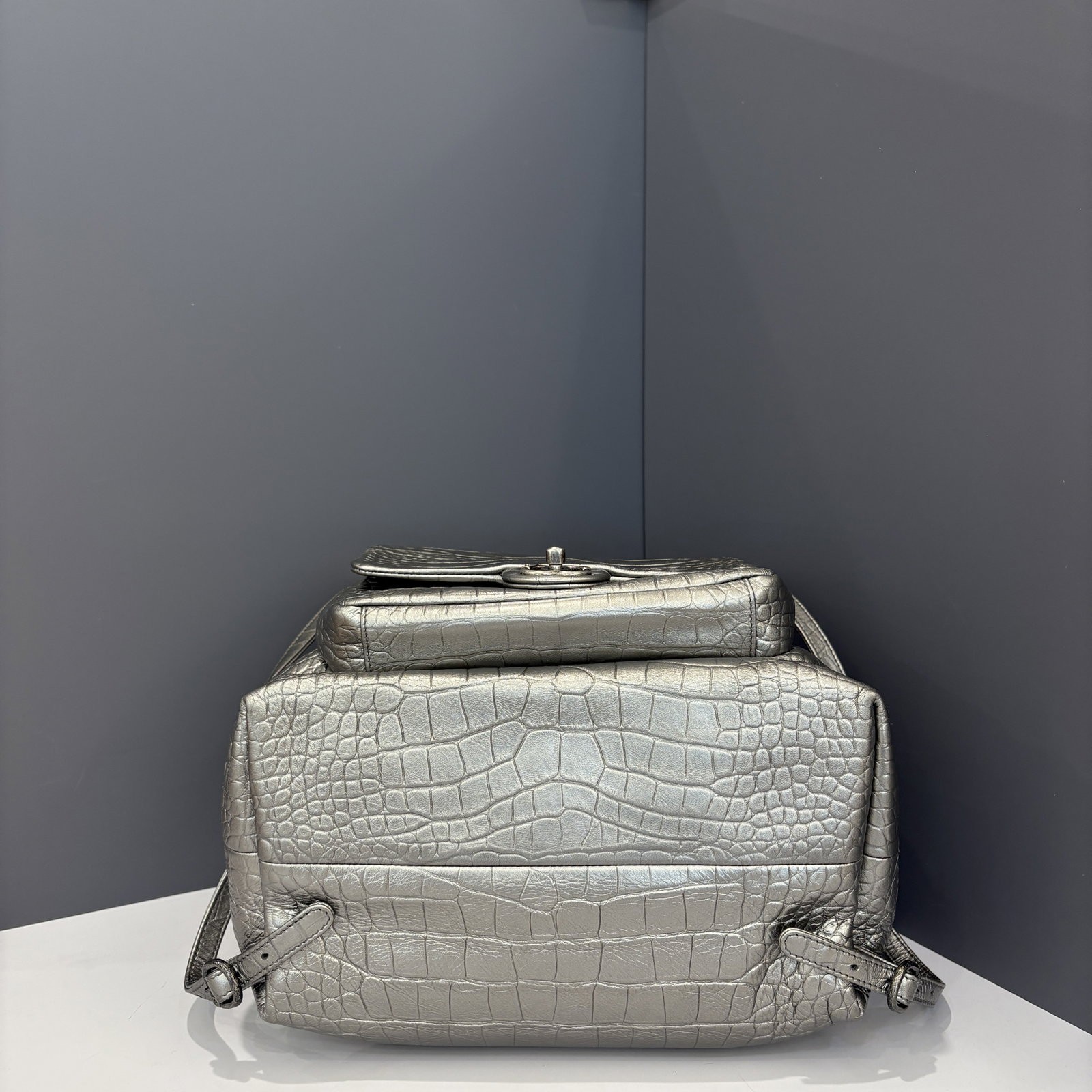 Chanel Backpack Silver Calfskin Crocodile Embossed (hs021026a4)