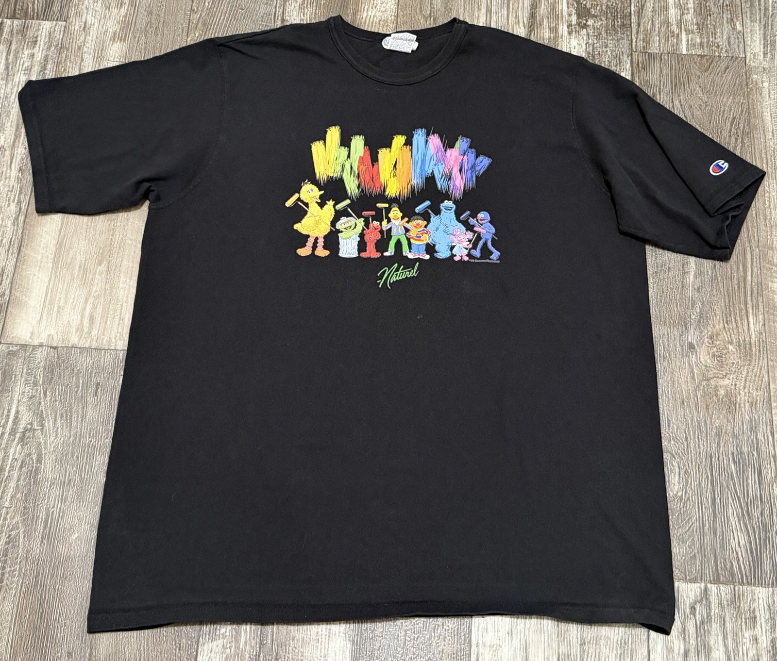 VTG Champion Sesame Street Workshop Naturel Painting Black TShirt Mens Size L