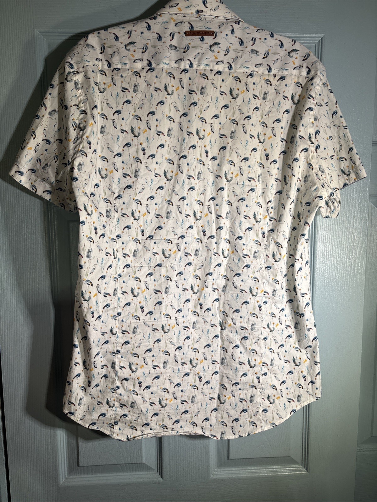 A Fish Named Fred Tropical Birds Short Sleeve Cotton Button Down Shirt XL