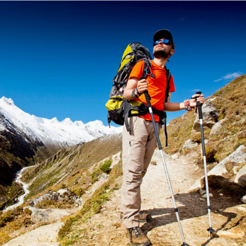 Trekking Poles Nordic Walking Hiking Sticks Anti-shock Adjustable Alpenstock