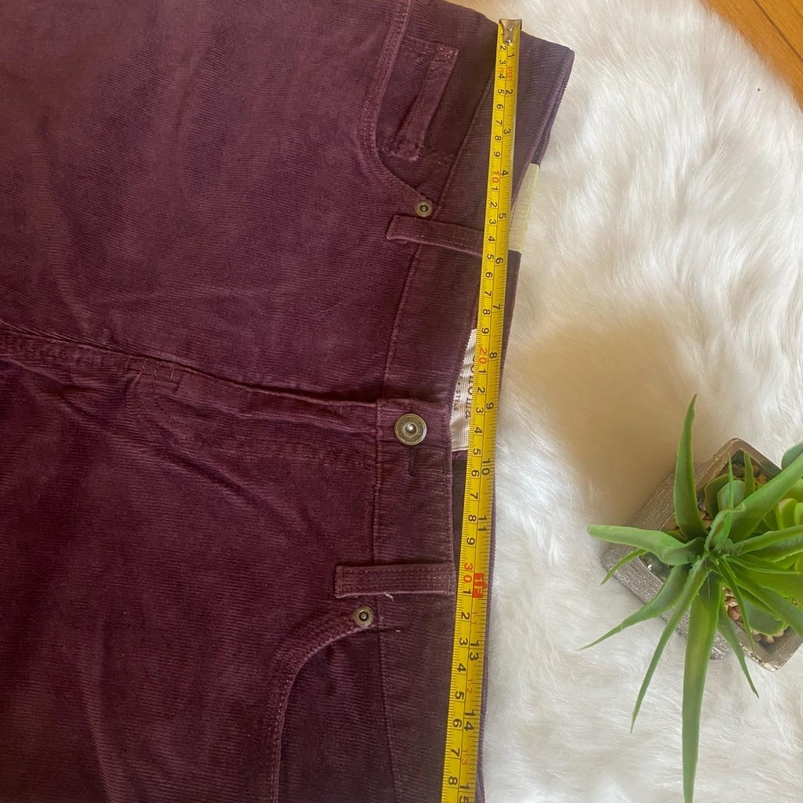 Sonoma Purple/ burgendy Boot Cut Corduroy Pants
