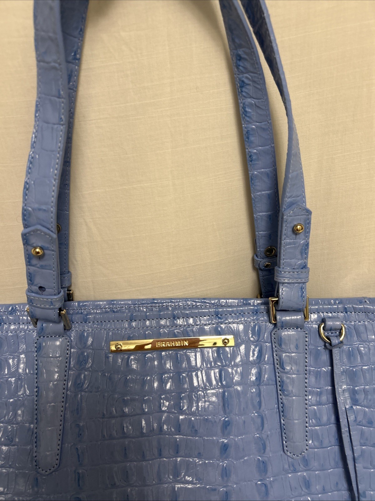 Brahmin Med. Arno Melbourne Gorgeous Bag New W/Tag Style #H13626SK Sky La Scala
