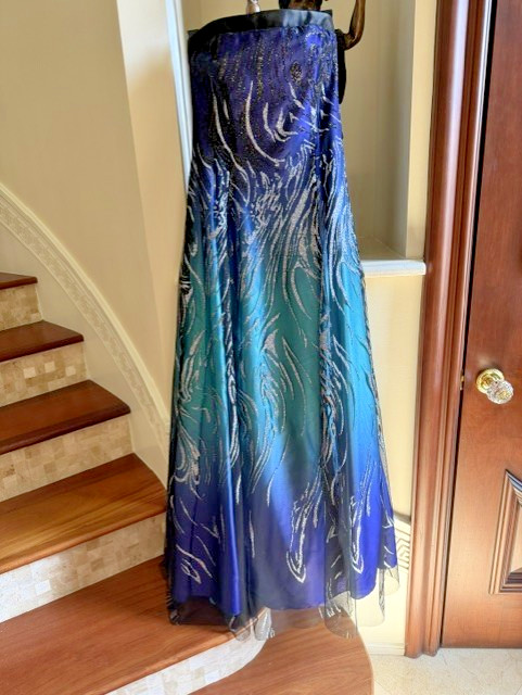 Prom, wedding, sparkle, never worn long dress, size 12