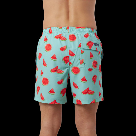 RAINFOREST One In A Melon Swim Trunk (Watermelon)