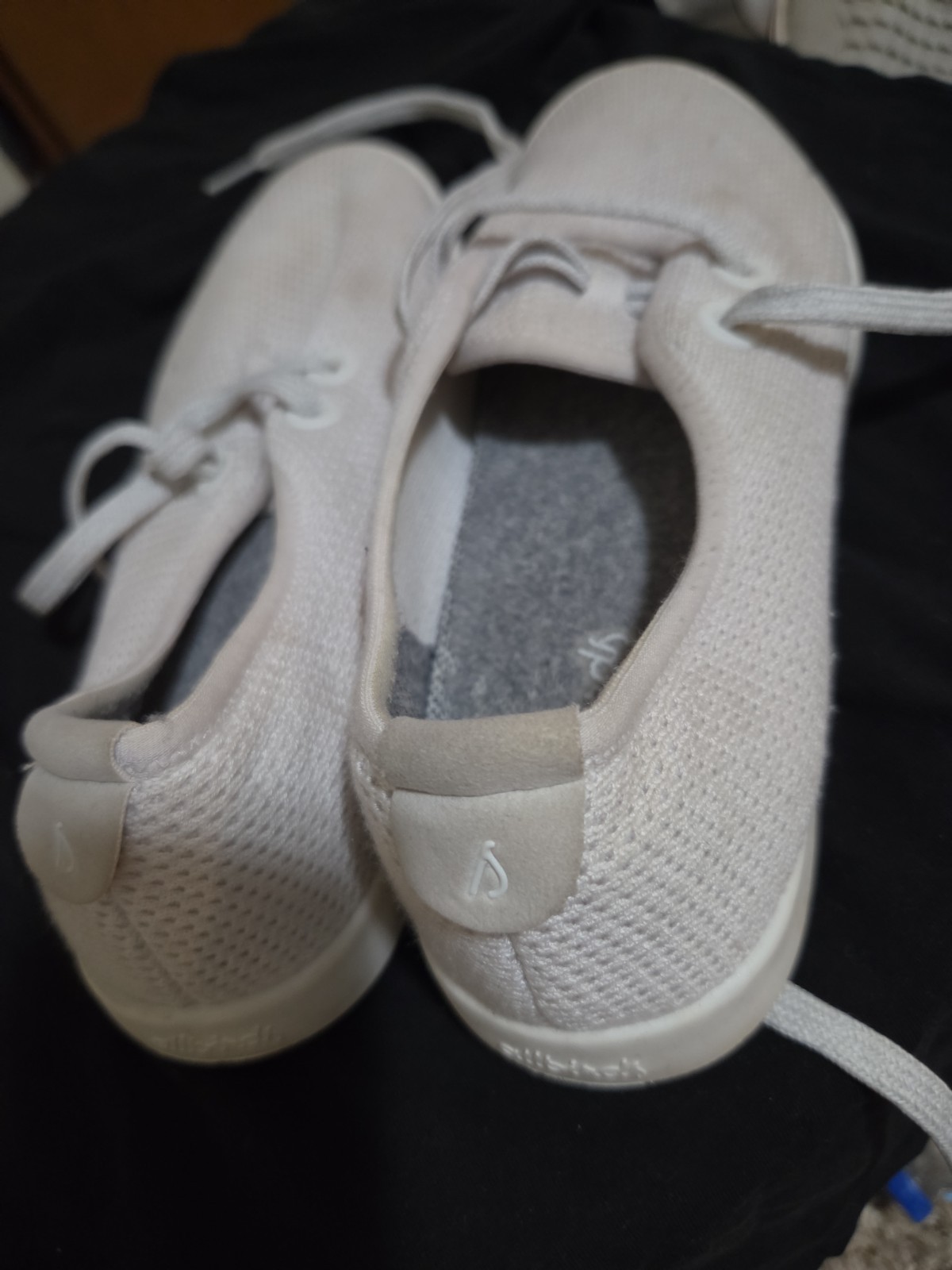 Allbirds Tree Runners Kauri White Women’s Size 8 Lightweight Sneakers Shoes