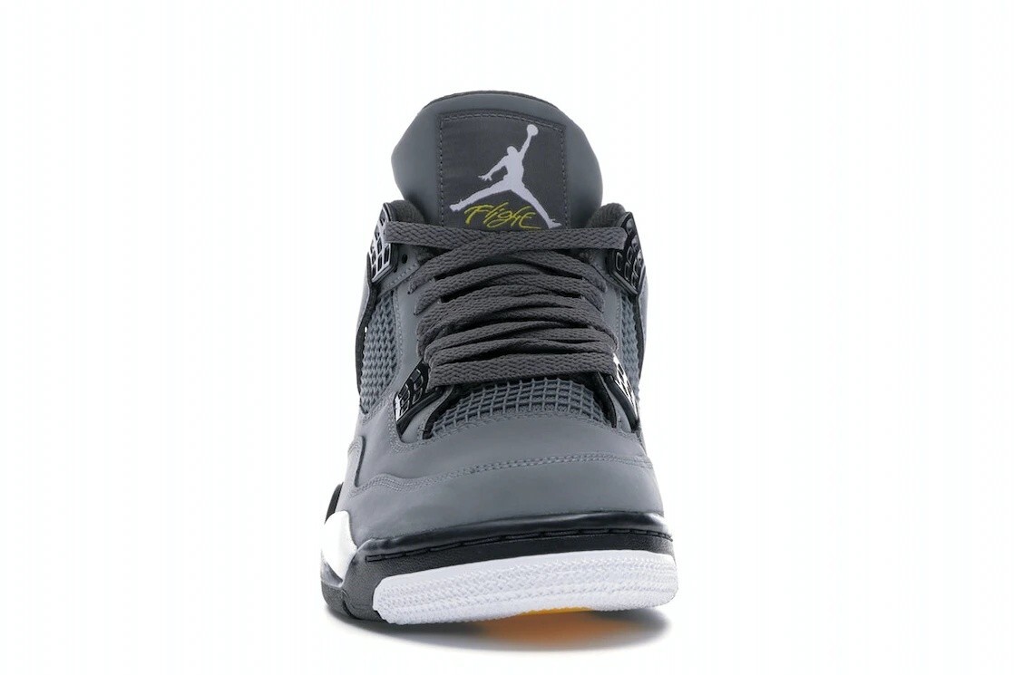 Nike Jordan 4 Retro Cool Grey (2019) 308497-007 Men’s Sneaker [US 7-12] New