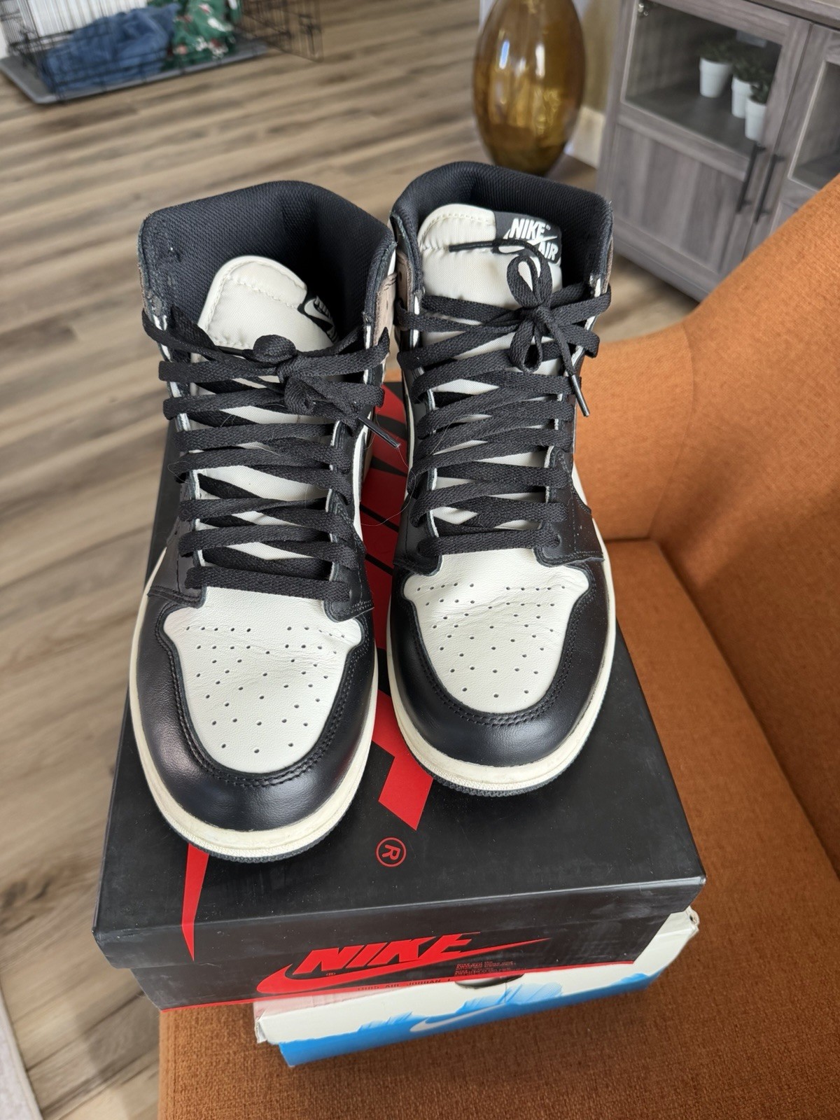 Nike Air Jordan 1 Mochas 10.5