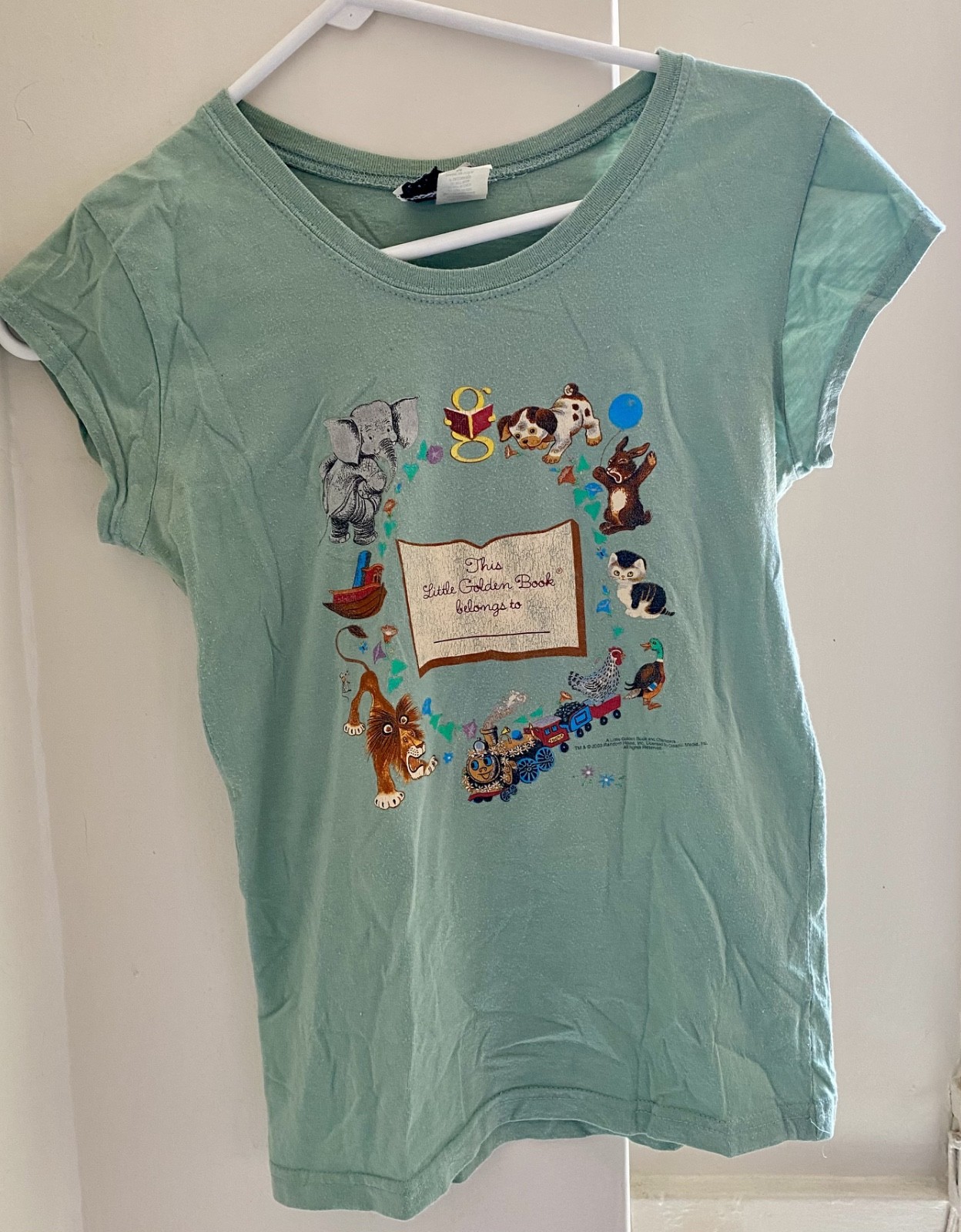 Vintage Little Golden Books graphic baby tee, 2003, light green, size Medium