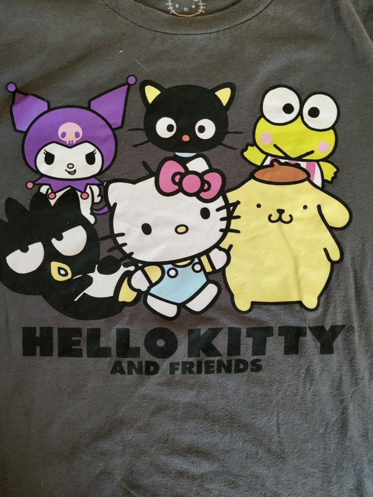 Hello Kitty SanrioUnisex Kids XL (14-16) Graphic Crew Neck Short Sleeve Tee
