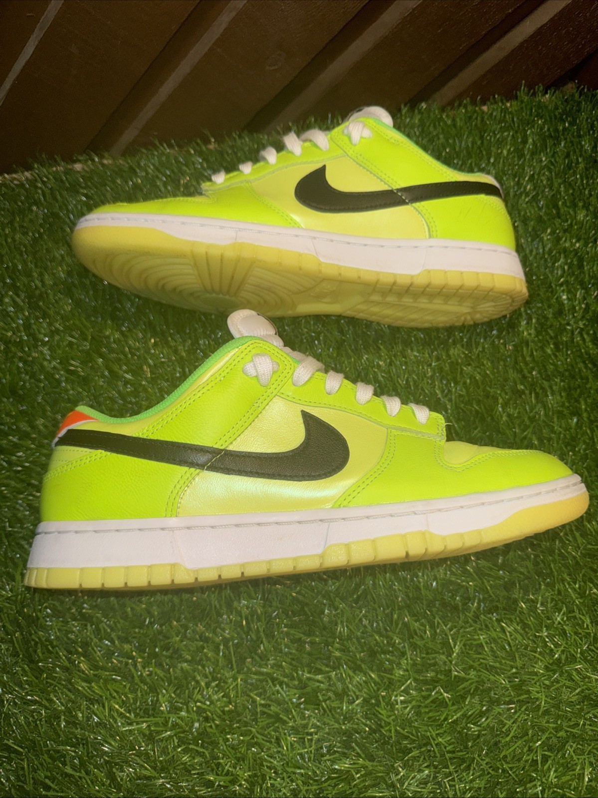 Size 10 – Nike Dunk SE Low Volt
