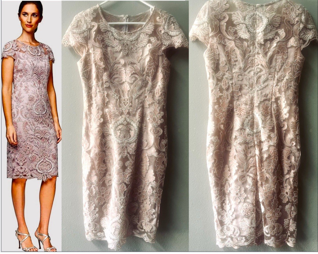 ALEX EVENINGS PALE NUDE PINK LACE CAP SLEEVE MOTHER OF BRIDE/GROOM DRESS SZ.6