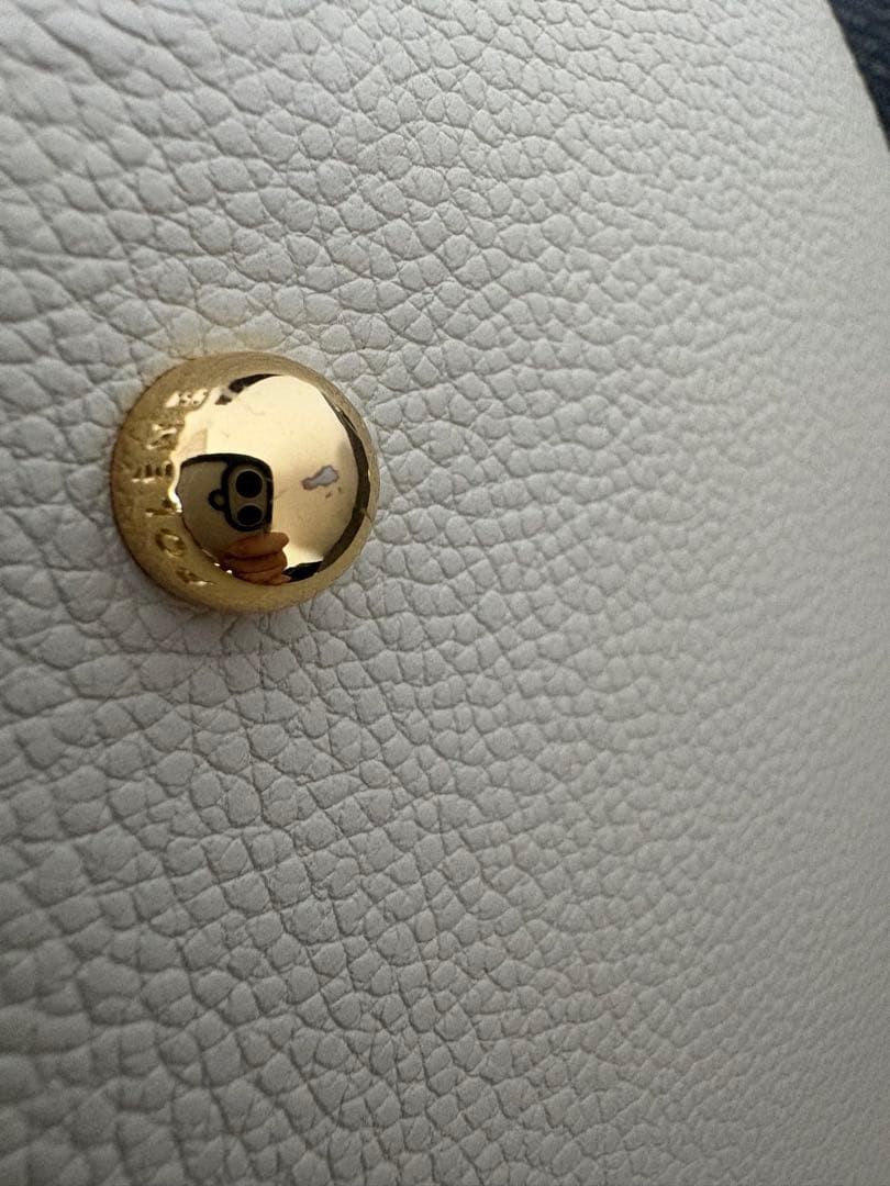 Excellent Condition POLENE POLENE Number Eight Canel Bag Leather from Japan