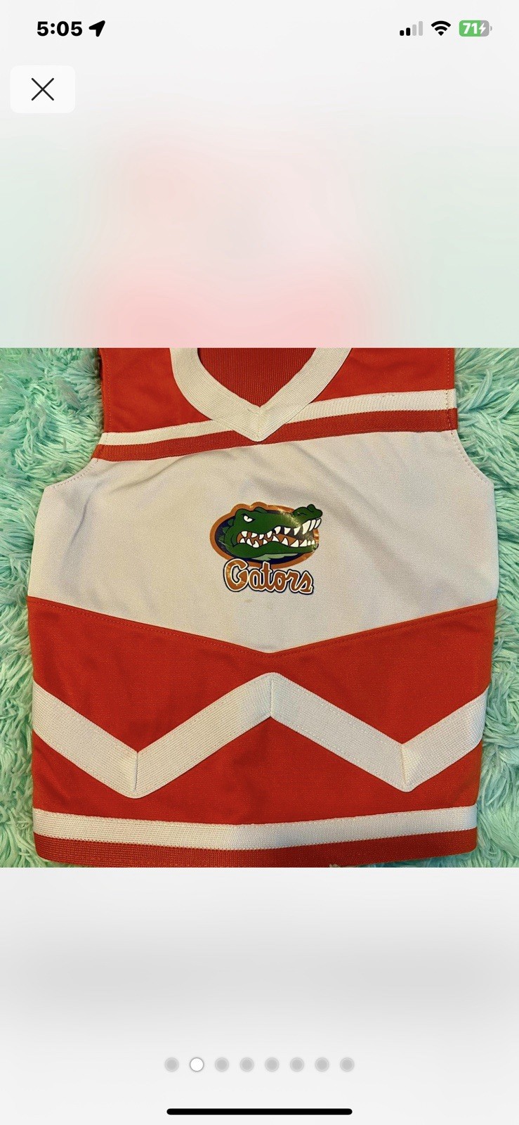 Florida Gators Cheerleader Outfit