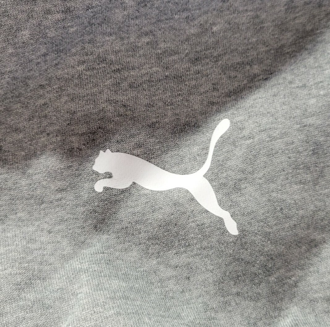 Puma Unisex Gray Small Midfield Hoodie