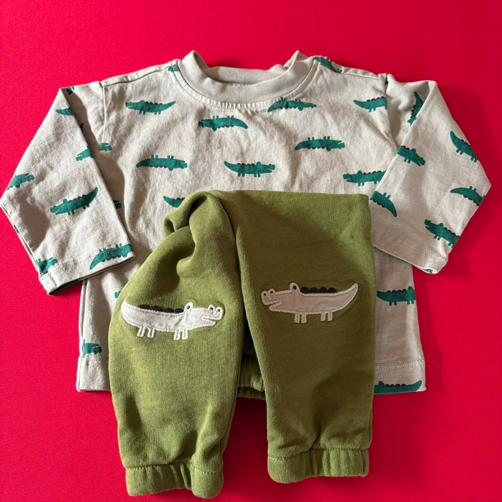 Hanna Andersson T-Shirt & French Terry Sweatpants Set. Size 12-18 Months, 75 cm