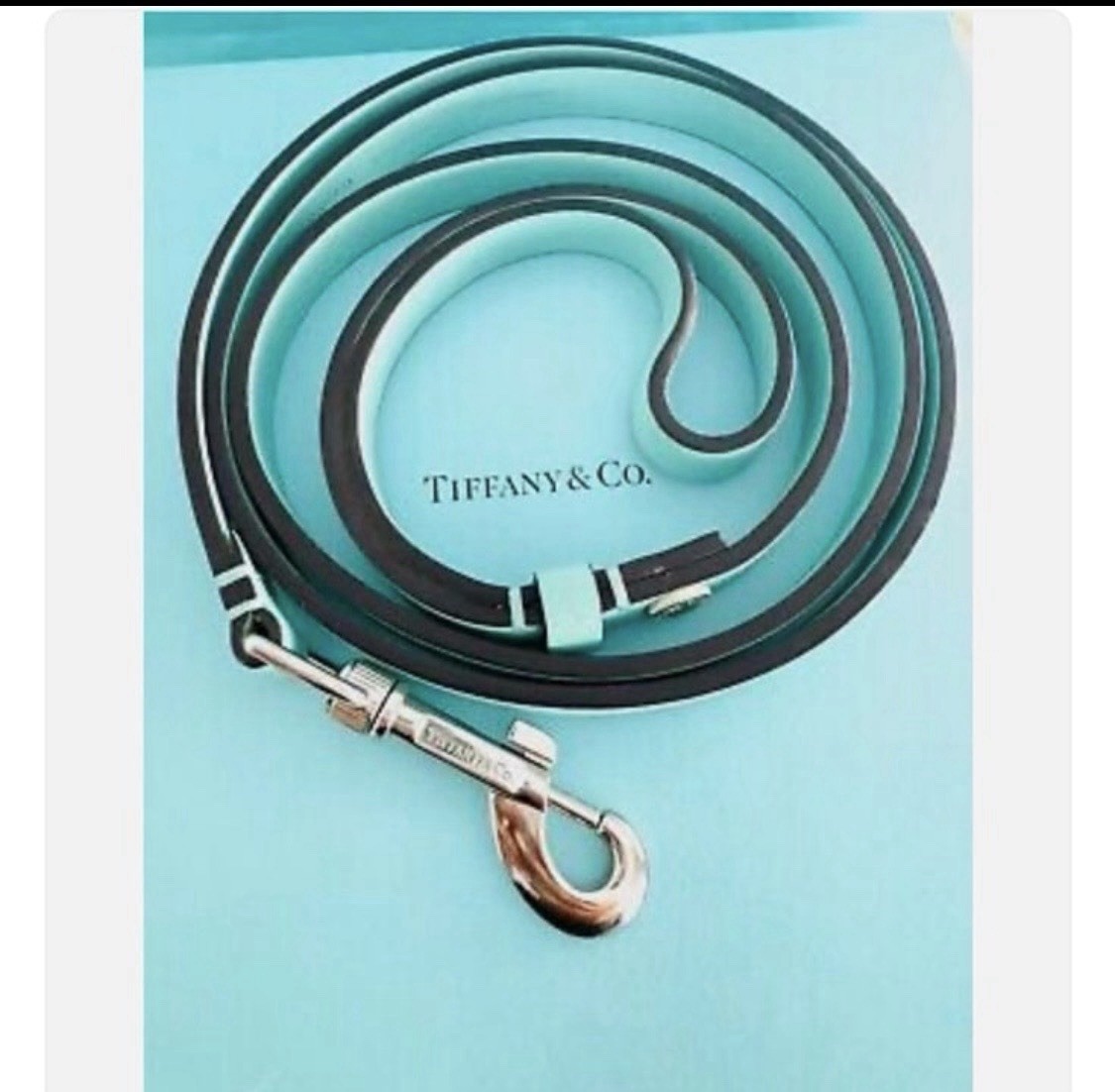 Tiffany & Co. Genuine Leather Dog Leash Swivel Hook Clasp Turquoise