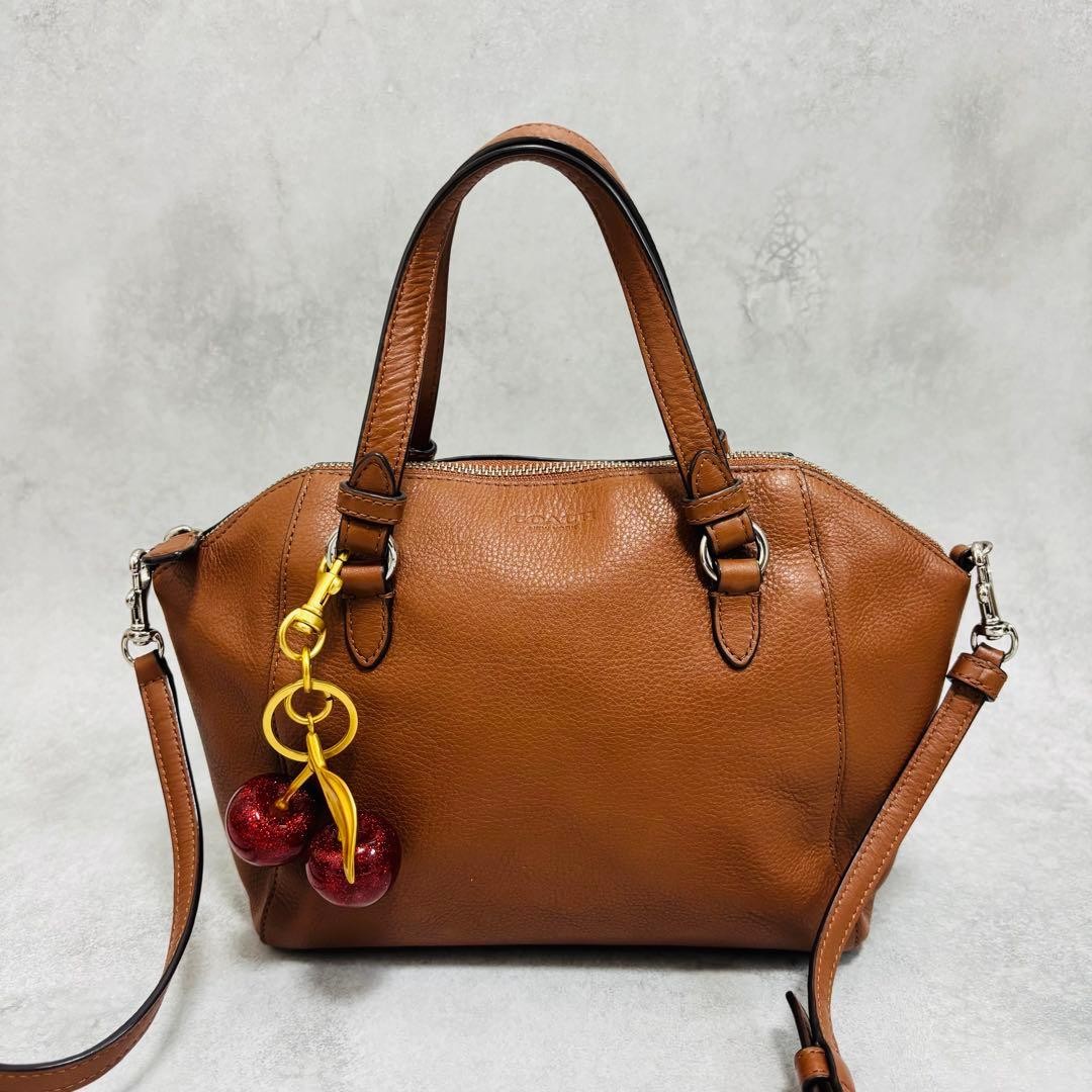 COACH F30281 2WAY Leather Handbag Brown 11a