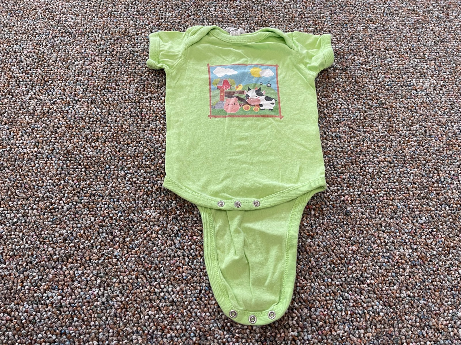 Rabbit Skins Boys Green Farm Animals Bodysuit 6M