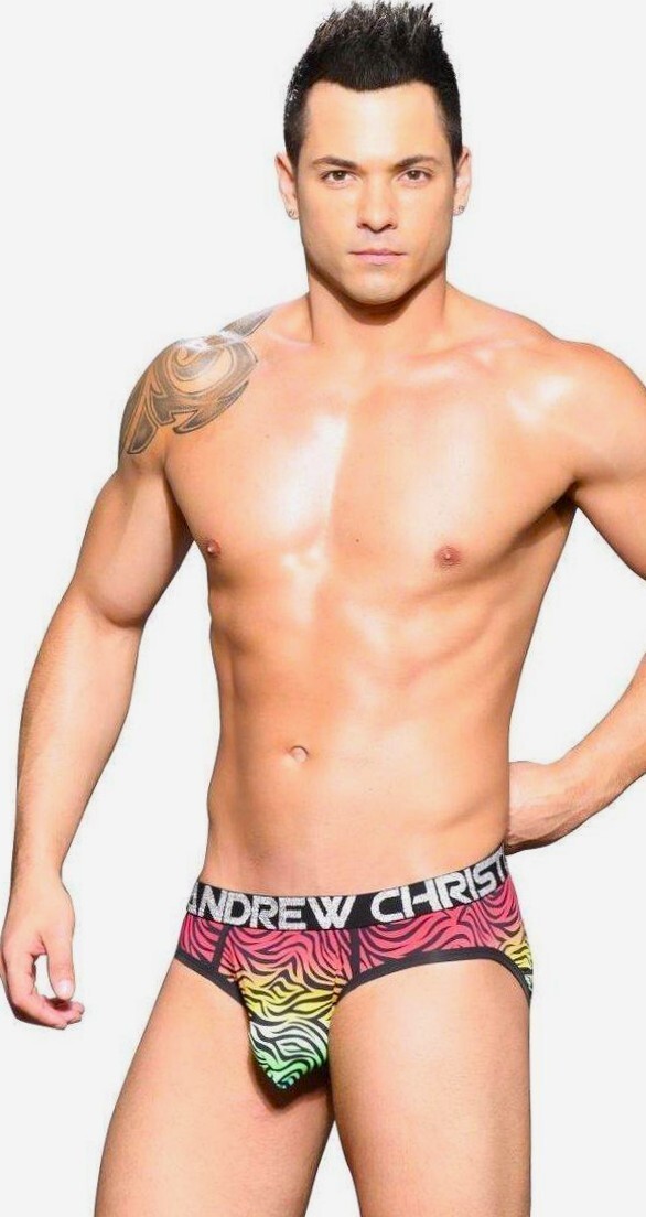 Andrew Christian Pride Zebra Brief – 91795 – Small, Medium & Large