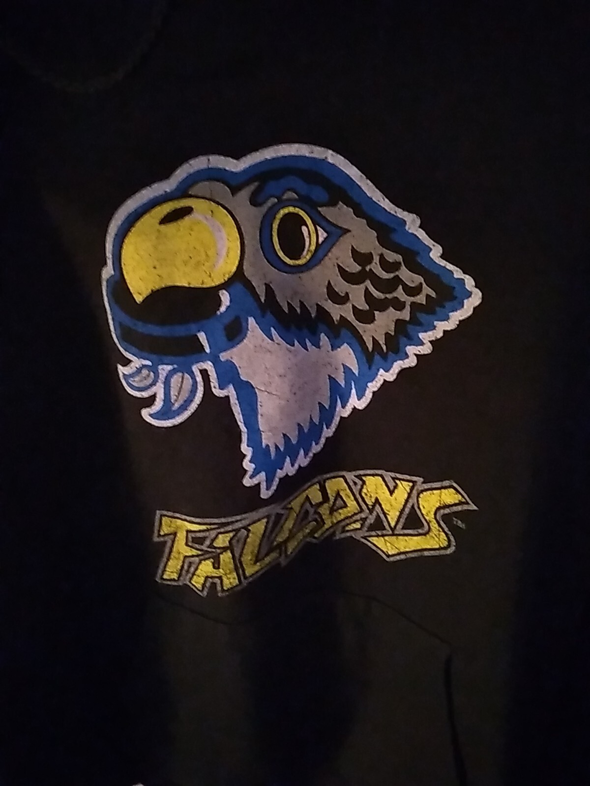 Womens Hoodie Size M – Falcons – 108 Stitches – Black
