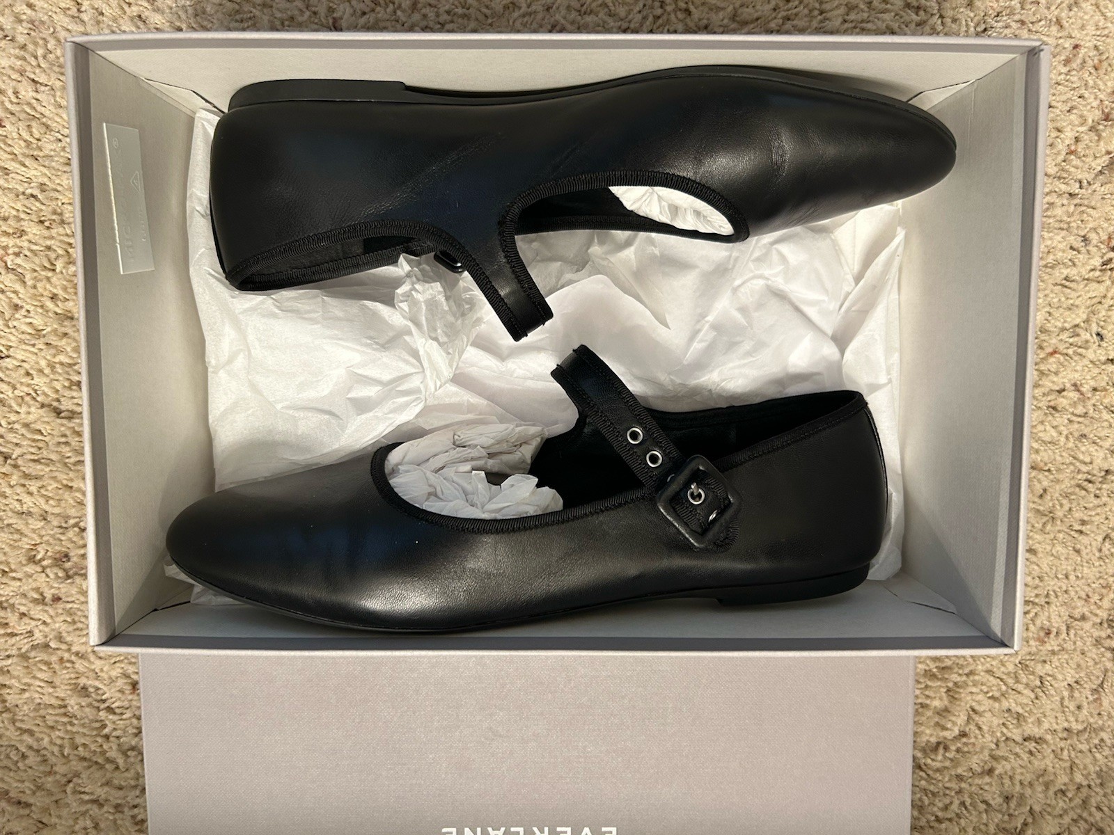 Everlane ~ The Day Buckle Mary Jane Flats Black Leather 10.5 M w.Box Excellent
