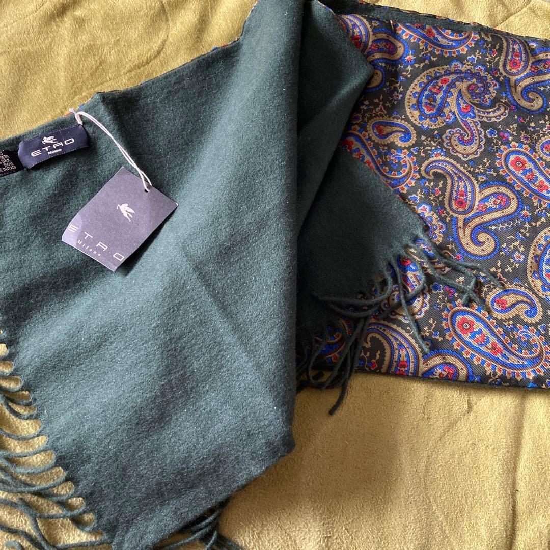 Etro Reversible Cashmere Silk Scarf 12.6×50.4in Unisex Mos Green