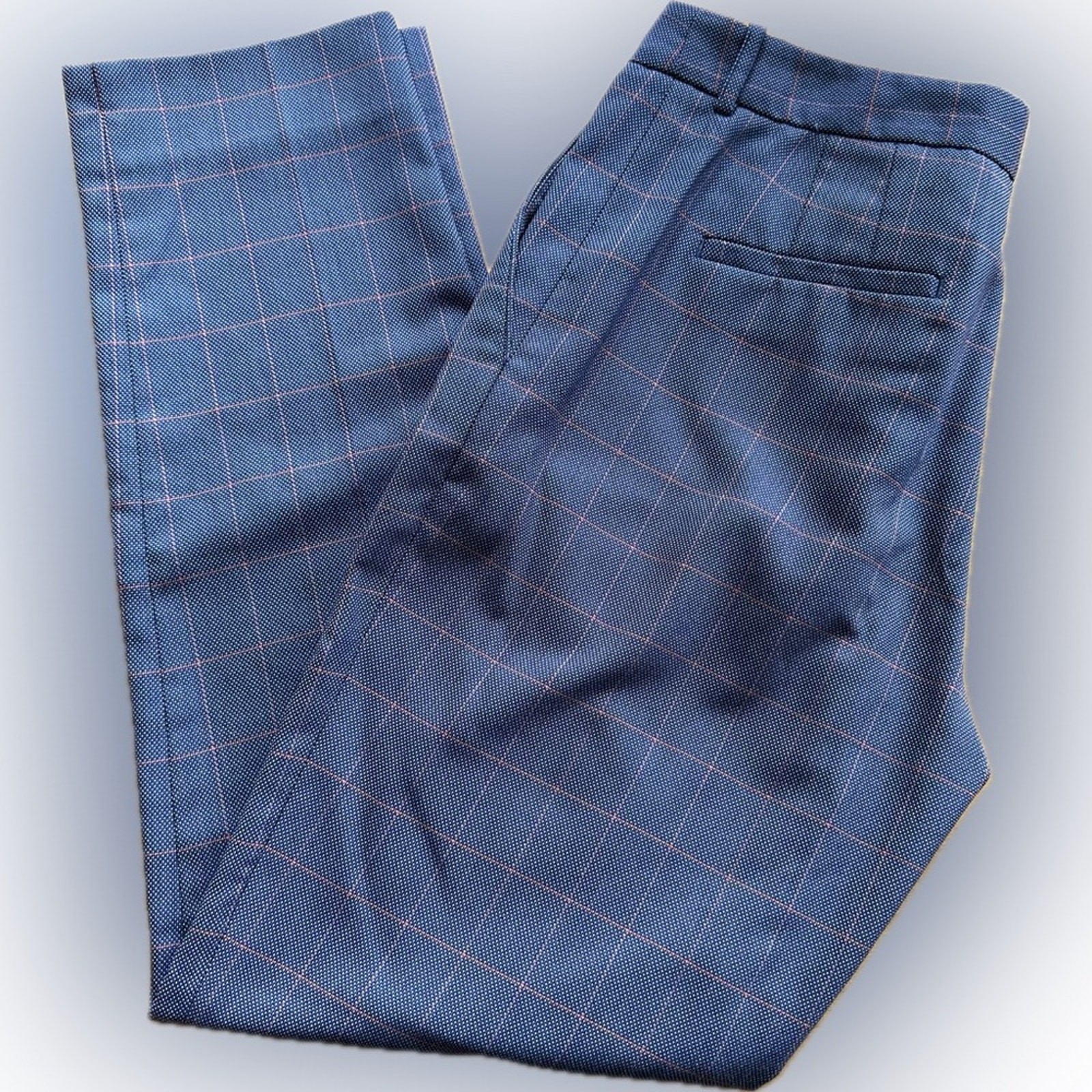 Tahari by Arthur S Levine Blue plaid stretch ankle length trouser pants 4