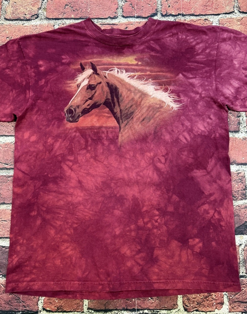 The Mountain Horse T-Shirt Men’s Large Y2K Nature Art Tie Dye 2007 Kim McElroy