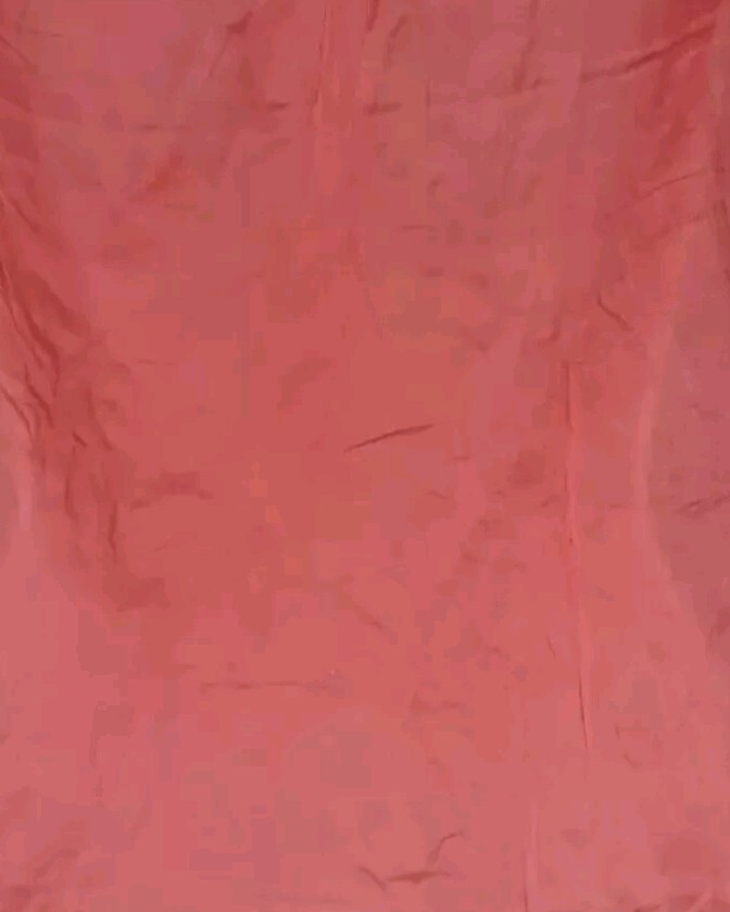 J Crew Button Up Shirt Womans Size 4 Coral Long Sleeves