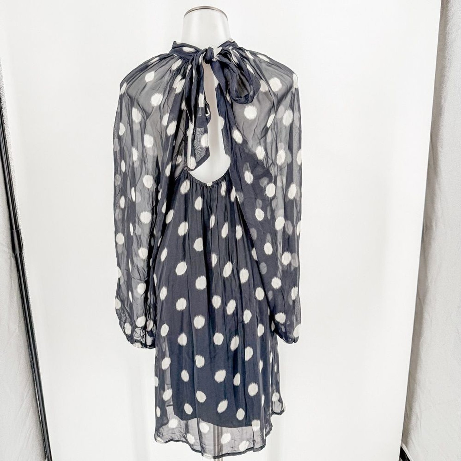 Maeve Long Sleeve Sheer Mini Dress