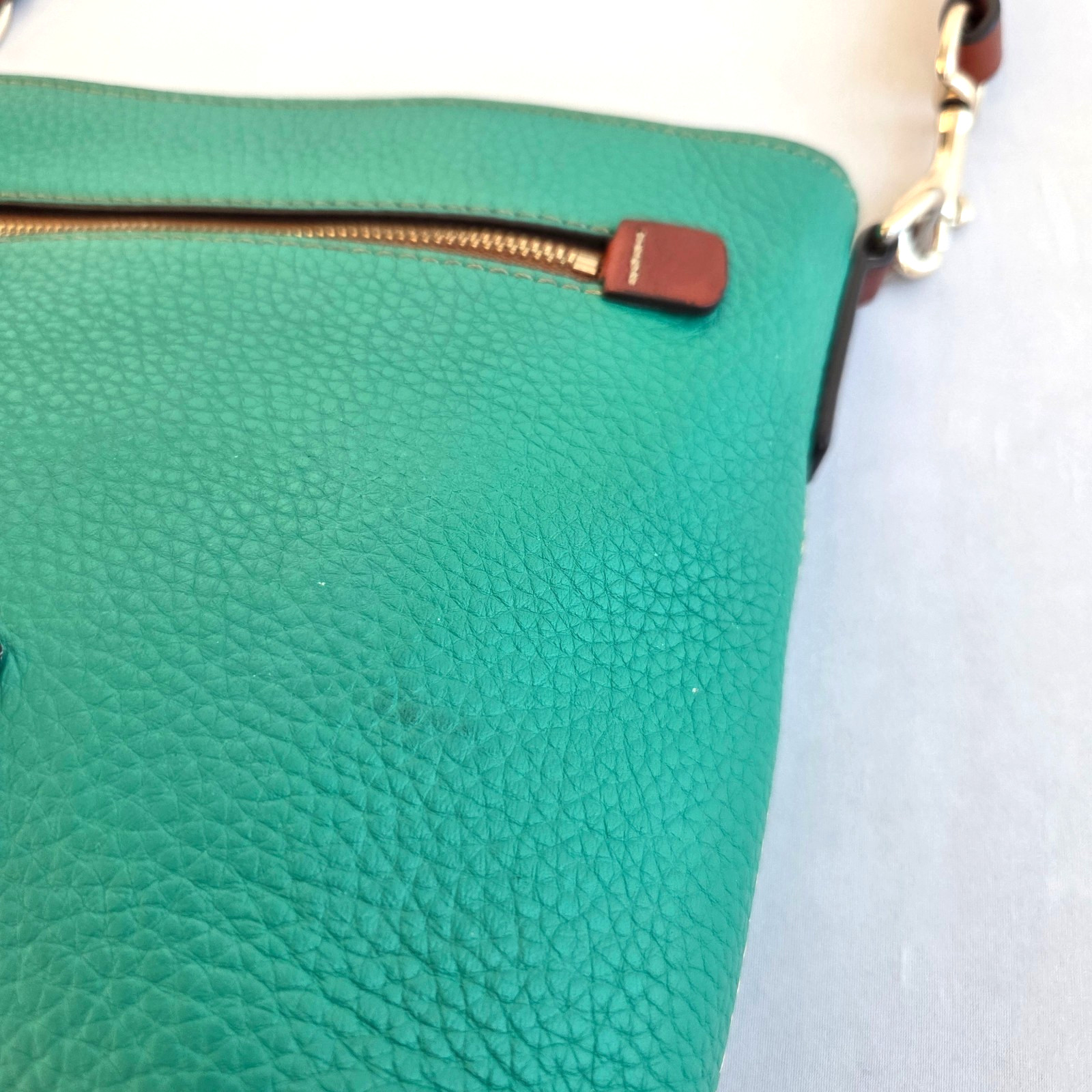 Dooney & Bourke Spearmint Green Pebble Grain Leather Zip Crossbody Purse Bag