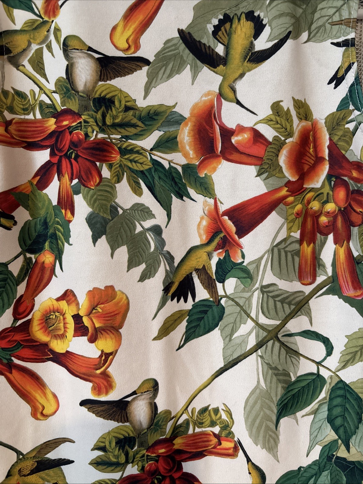 Black Milk Hummingbird Dress Form Fitting Sleeveless Stretchy Colorful