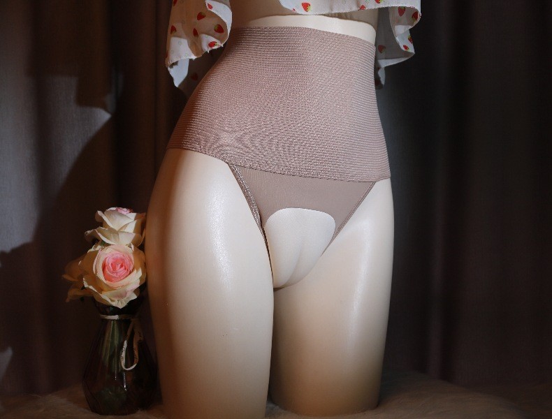 Crossdresser High Waist Control Briefs Tuck Panties Shapewear 1Pc