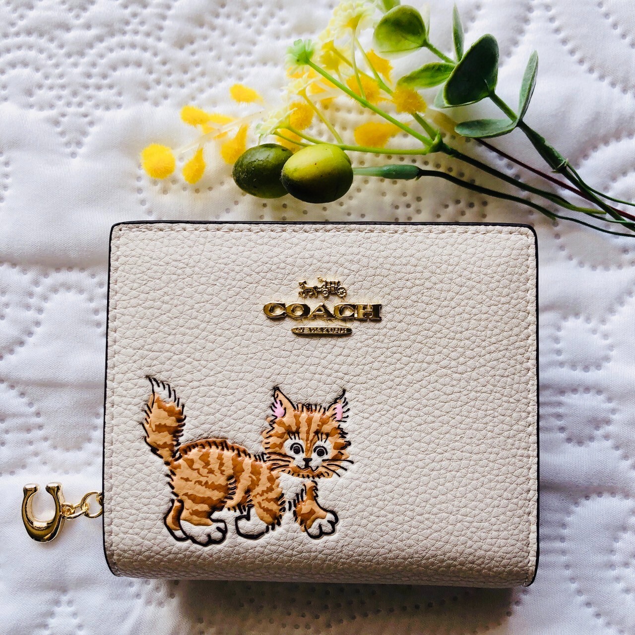 Coach Snap Wallet & Card Holder with Dancing Kitten Cat White Outlet New Japan
