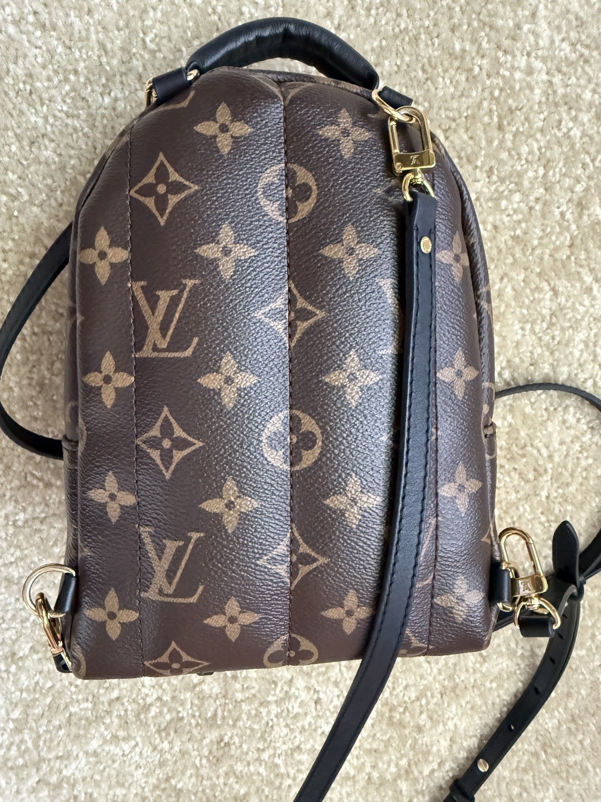 Louis Vuitton Palm Springs Backpack Mini Brown Canvas Monogram