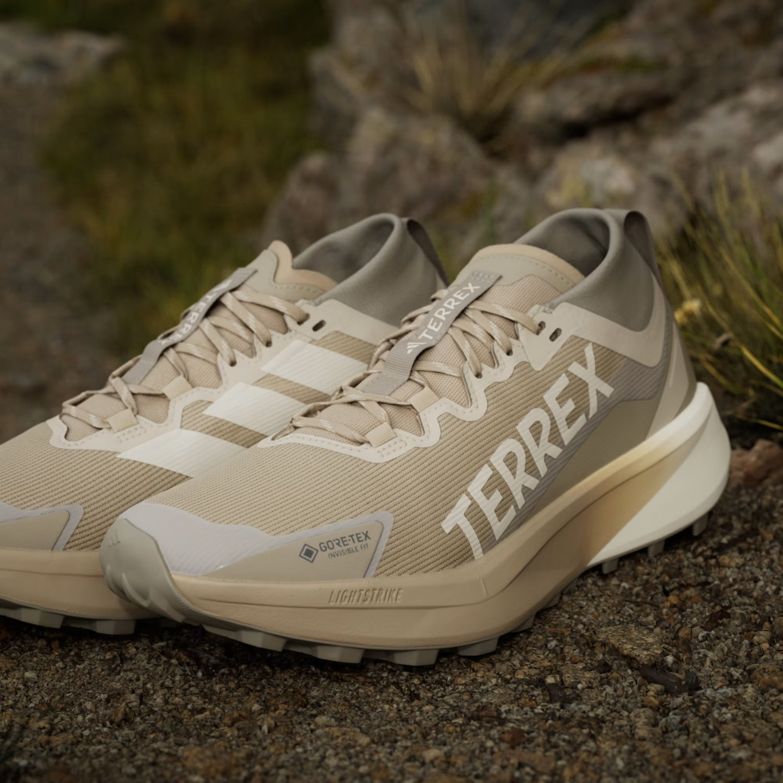 adidas TERREX AGRAVIC GTX TRAIL RUNNING JR1507 Blanch Cargo / Alumina / Beige