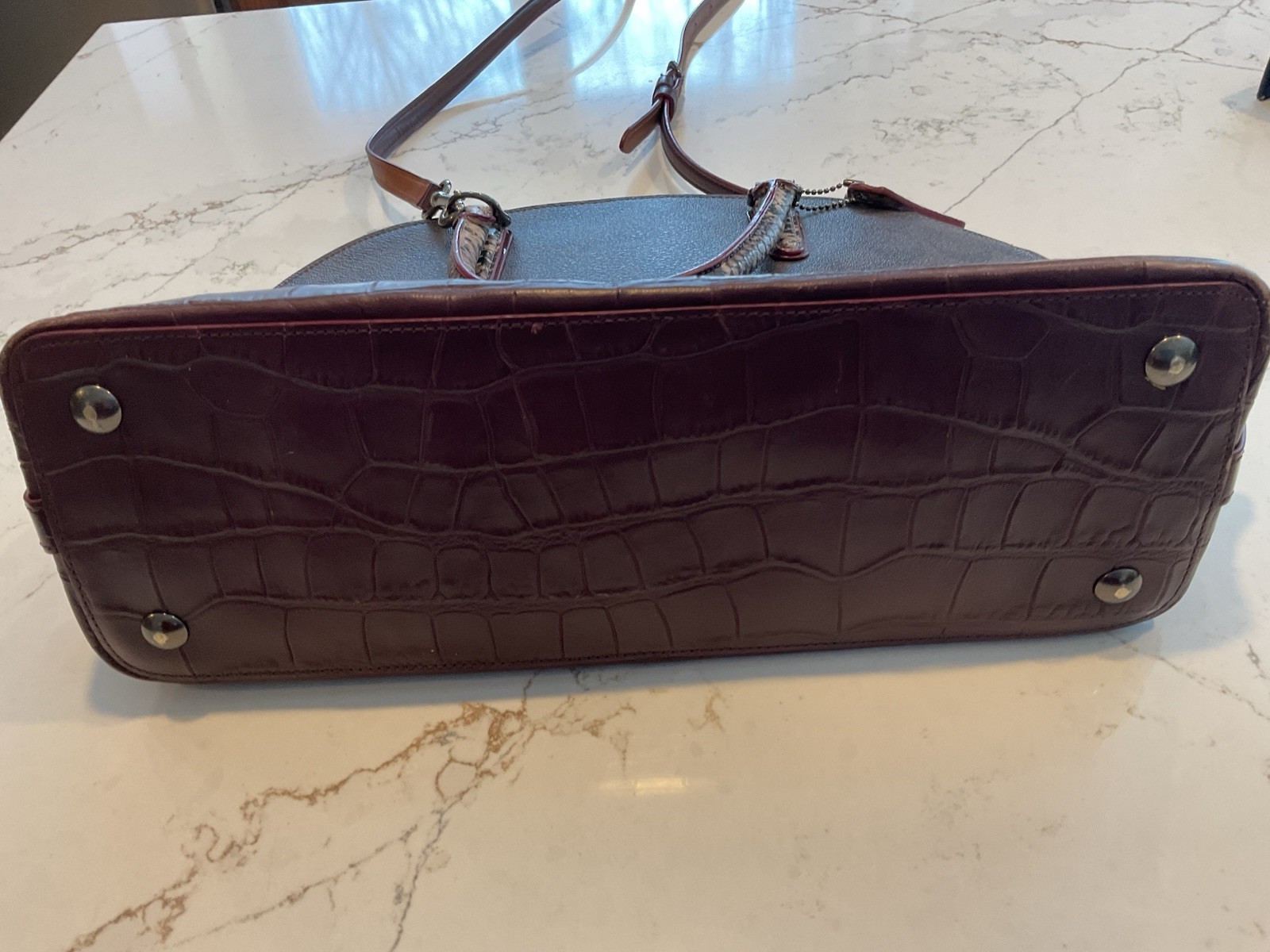 COACH Sierra Stachel With Snake Skin Look Trim Crossbody/hand