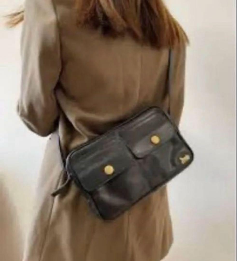 CELINE Leather Camera Shoulder Black Horse Carriage Hardware Used From Japan