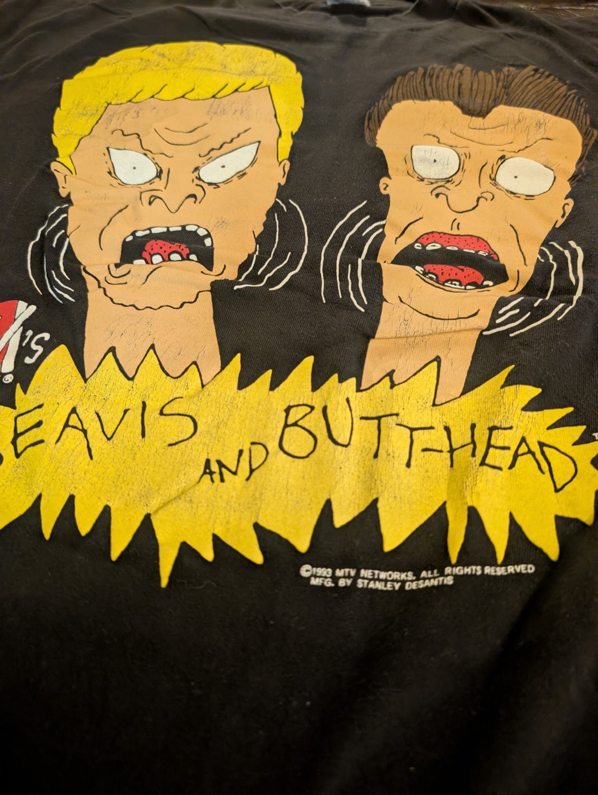 Vintage 1993 Beavis and Butt-Head MTV Stanley Desantis T-Shirt Black