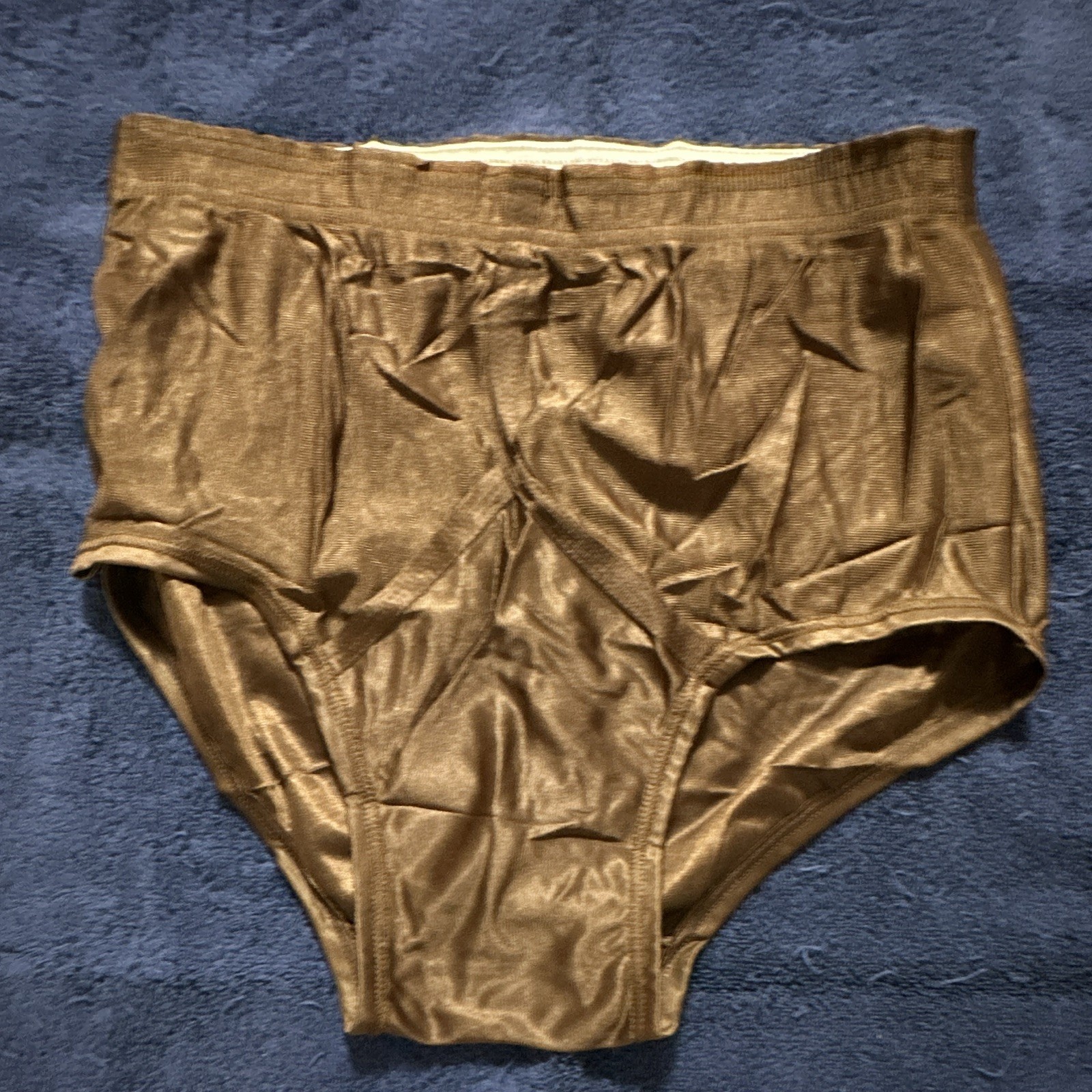 Rare Vintage Jockey Men’s Sheer Nylon Brief Underwear Brown Regular Size 36