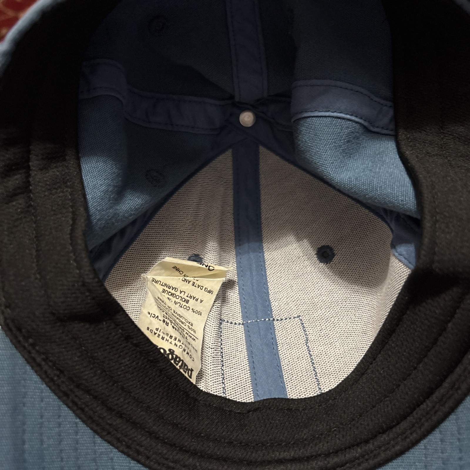 PATAGONIA “Graphed” Roger That Hat – Trucker Blue – Fall 2014