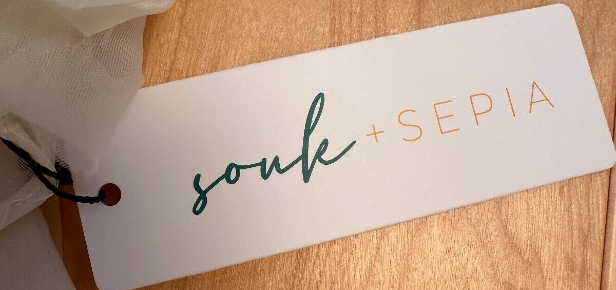 NWT SOUK & SEPIA BLOUSE WOMENS SZ S SHEER ACCORDIAN RUFFLE DRESSY ROMANTIC