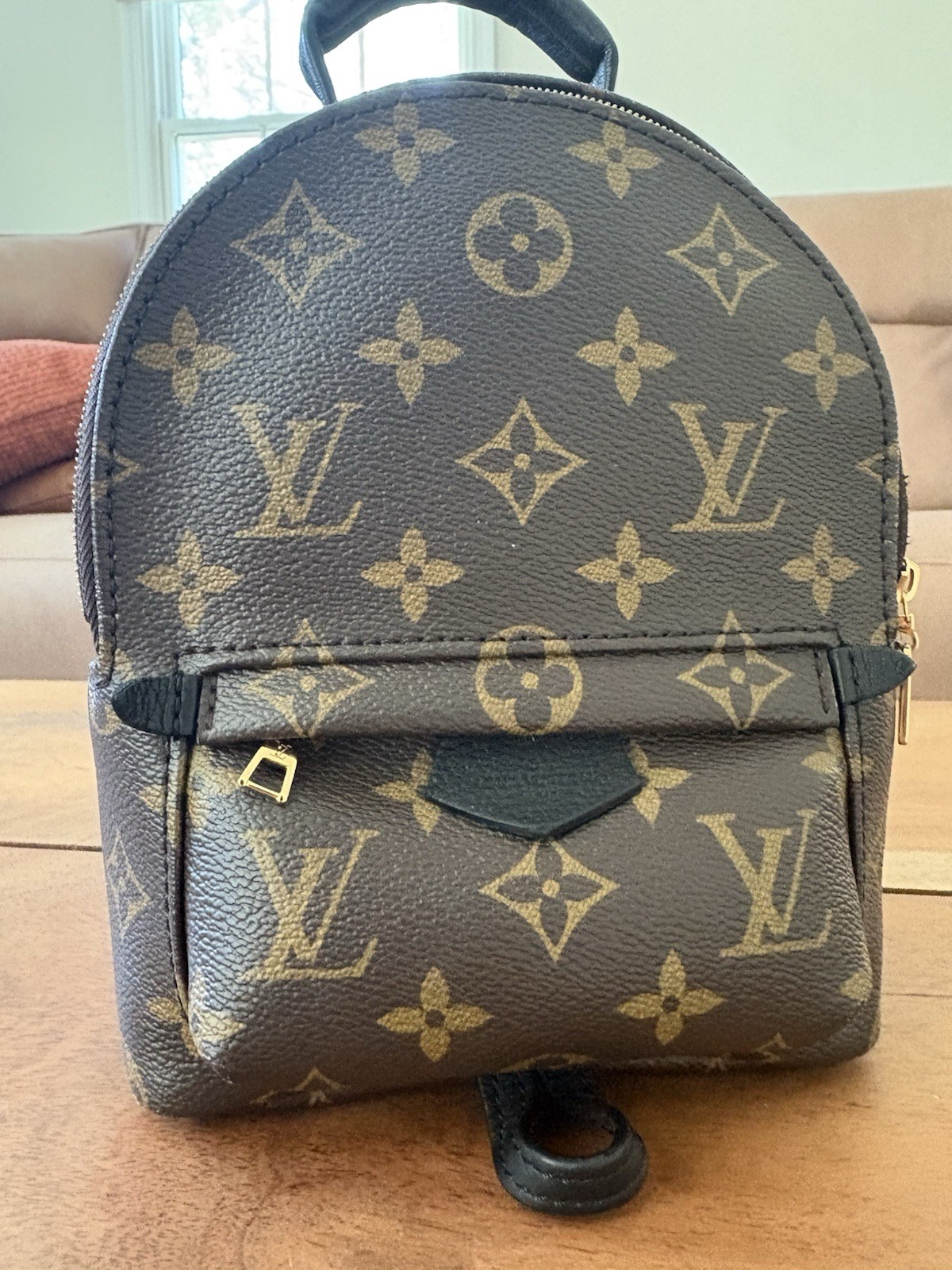 Louis Vuitton Palm Springs Backpack Mini Brown Canvas Monogram